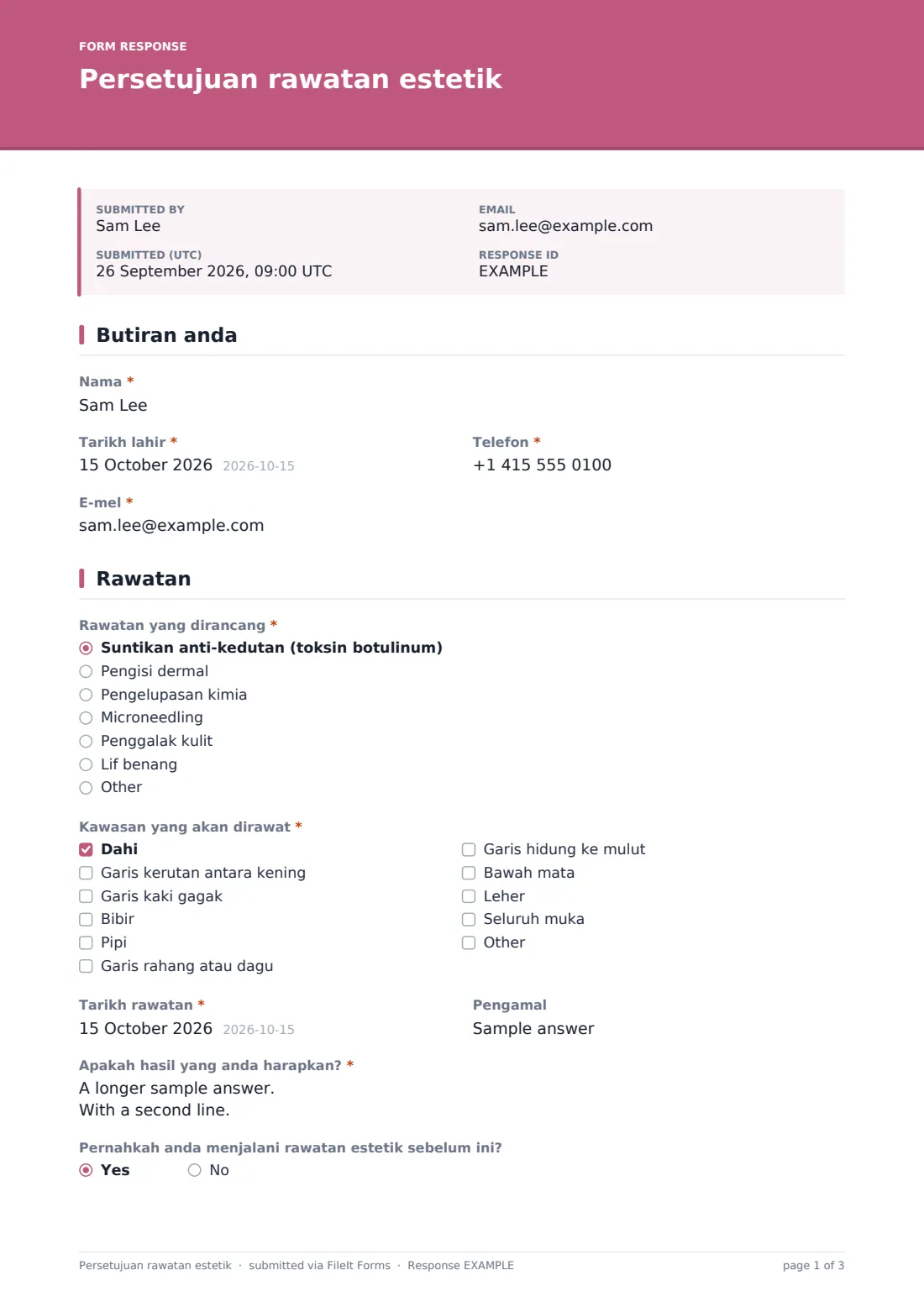 Persetujuan rawatan estetik — PDF respons contoh, halaman 1 daripada 3