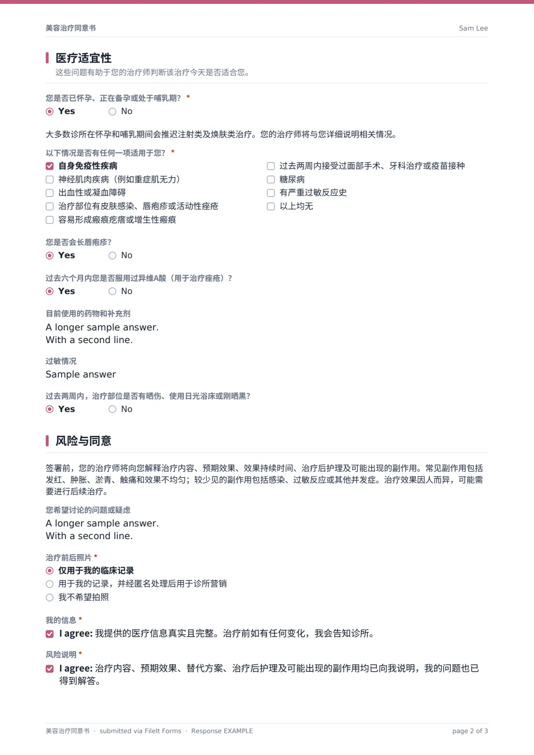 美容治疗同意书 — 示例回复 PDF，第 2 页，共 3 页