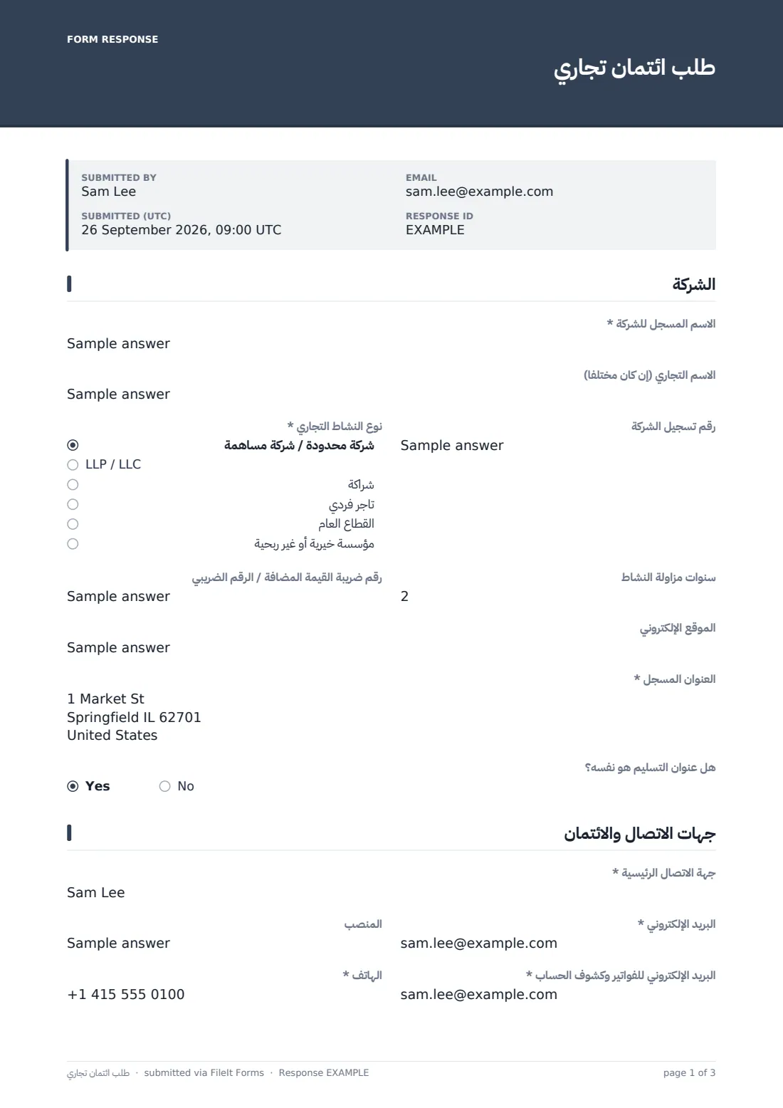 طلب ائتمان تجاري — ملف PDF لرد نموذجي، الصفحة 1 من 3