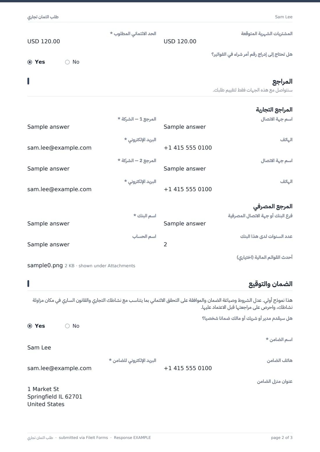 طلب ائتمان تجاري — ملف PDF لرد نموذجي، الصفحة 2 من 3