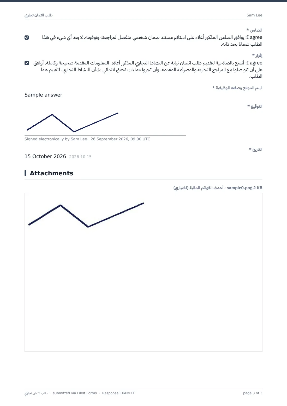 طلب ائتمان تجاري — ملف PDF لرد نموذجي، الصفحة 3 من 3