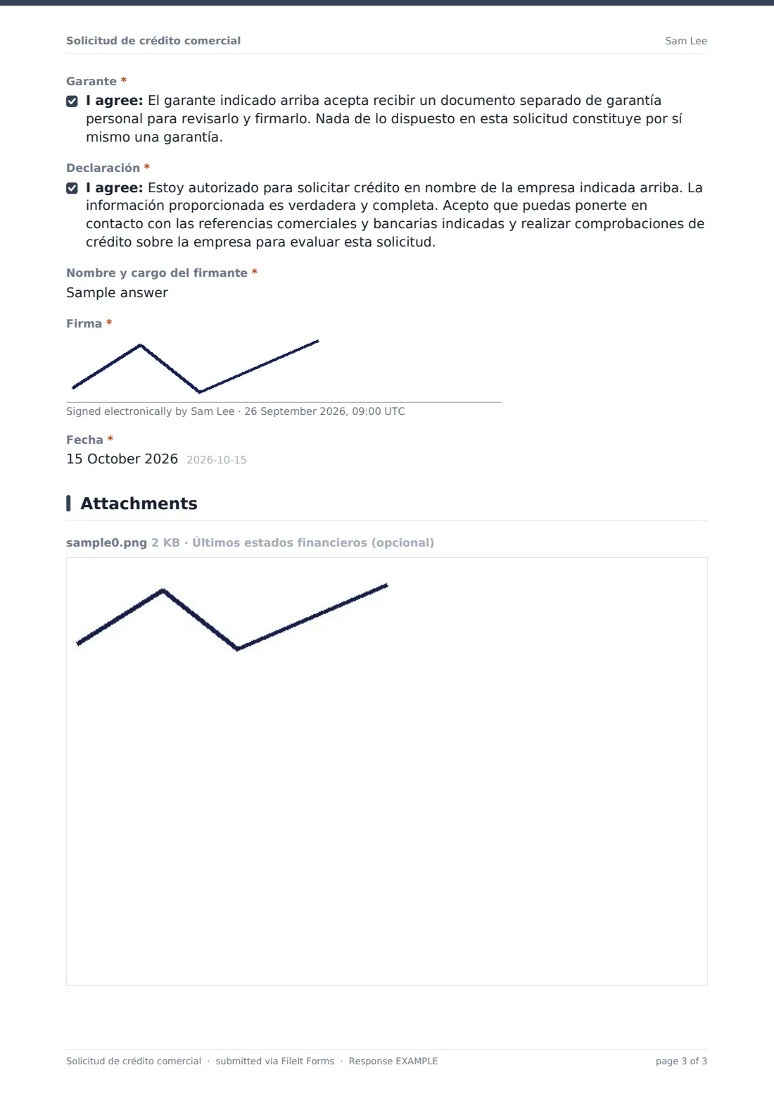 Solicitud de crédito comercial — PDF de respuesta de ejemplo, página 3 de 3
