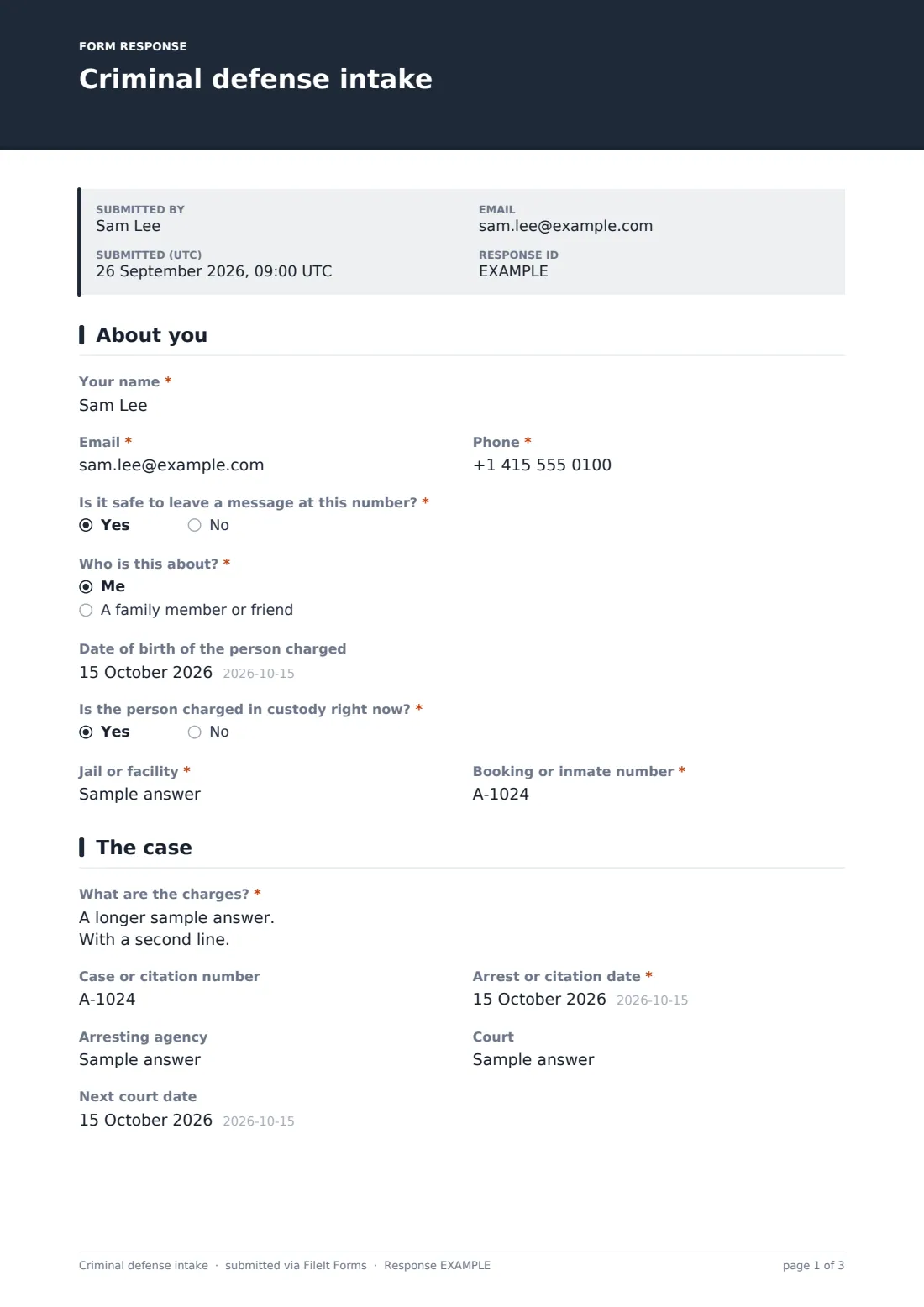 Criminal defense intake — example response PDF, page 1 of 3