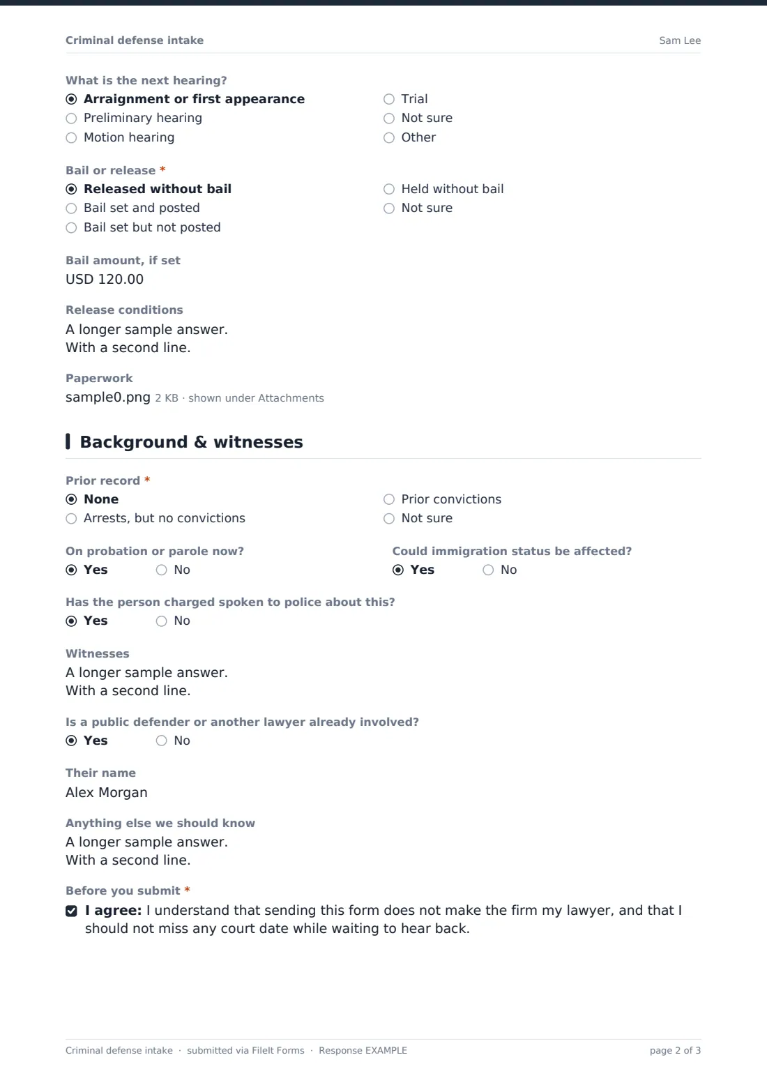 Criminal defense intake — example response PDF, page 2 of 3