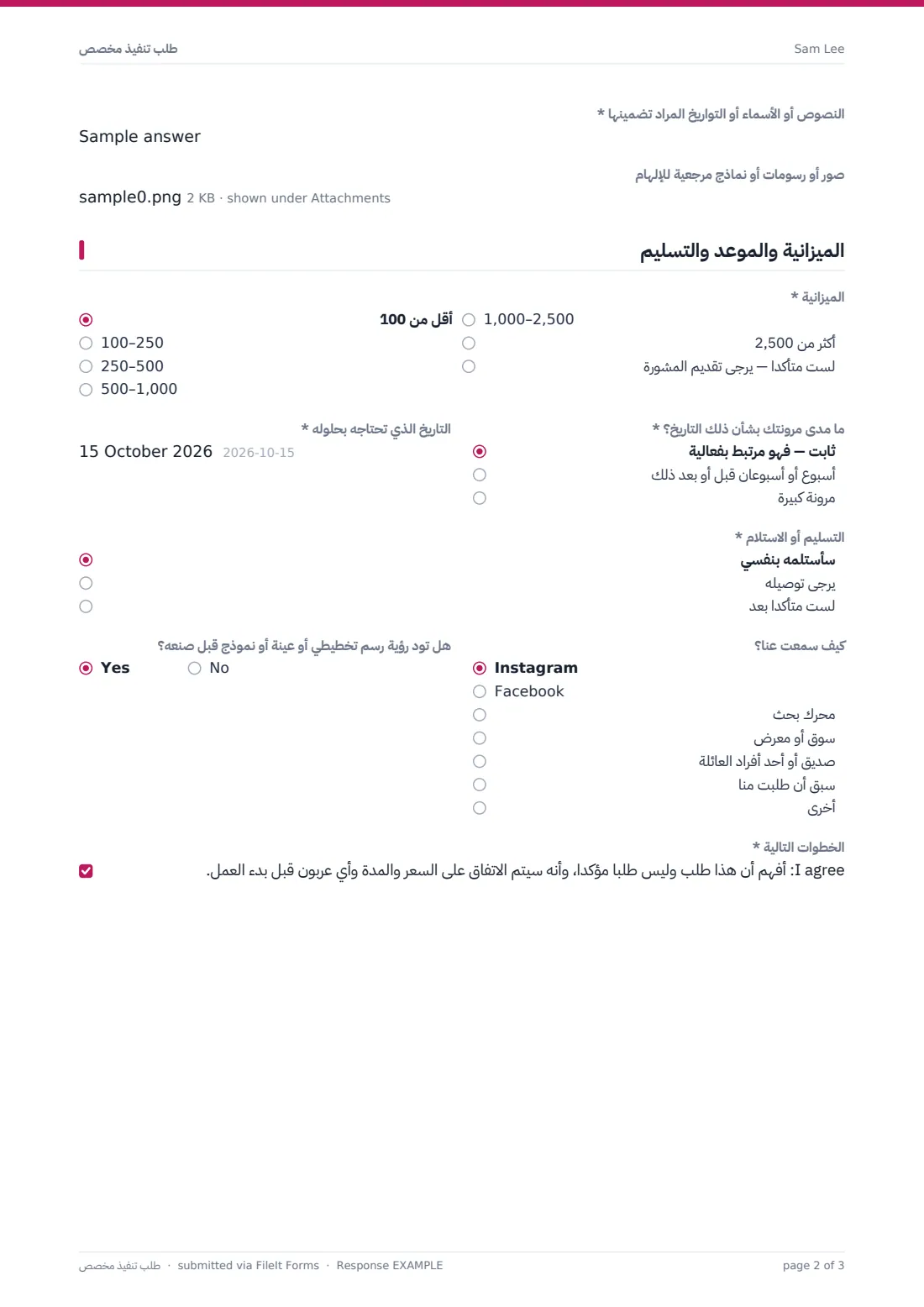 طلب تنفيذ مخصص — ملف PDF لرد نموذجي، الصفحة 2 من 3
