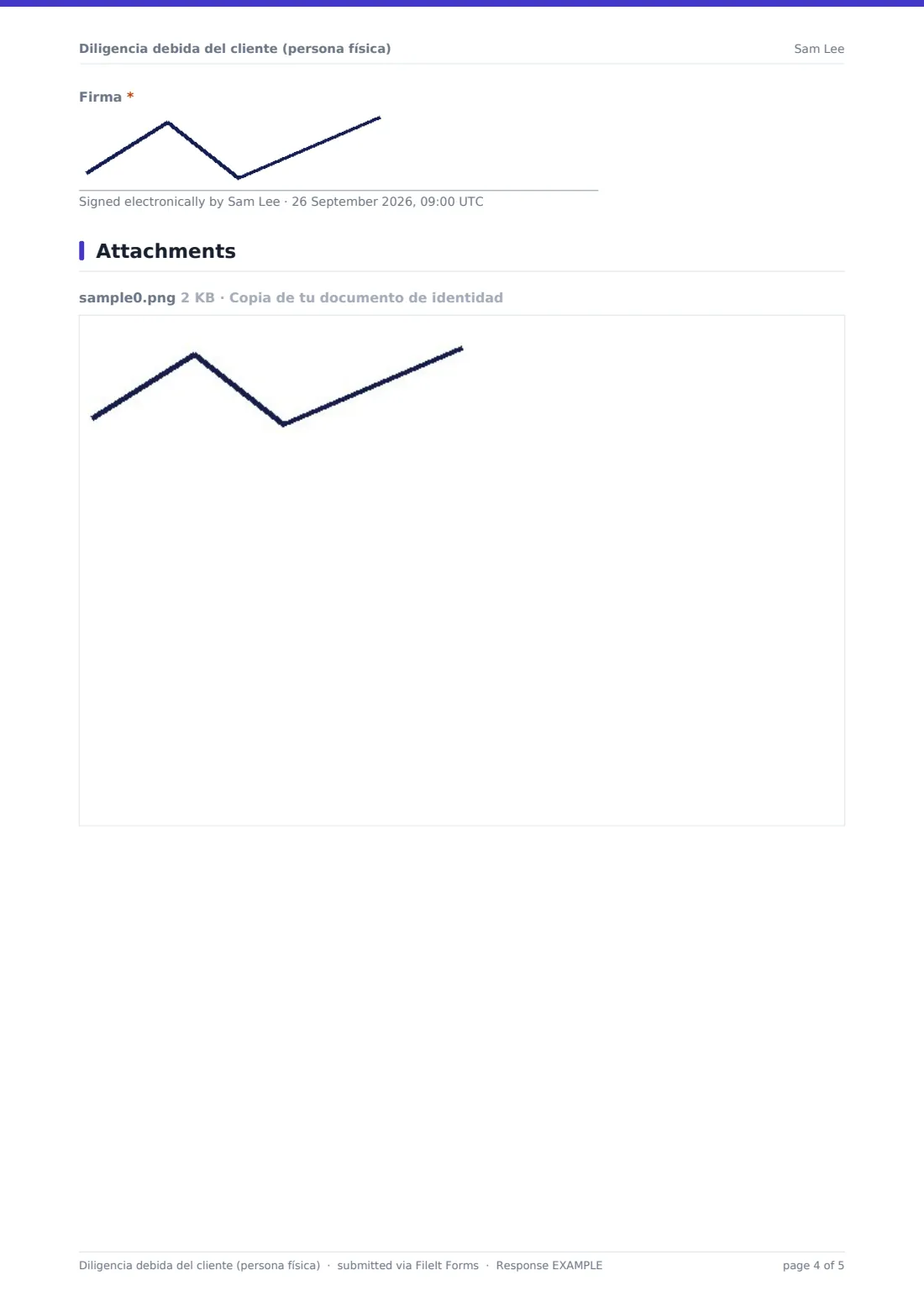 Diligencia debida del cliente (persona física) — PDF de respuesta de ejemplo, página 4 de 5
