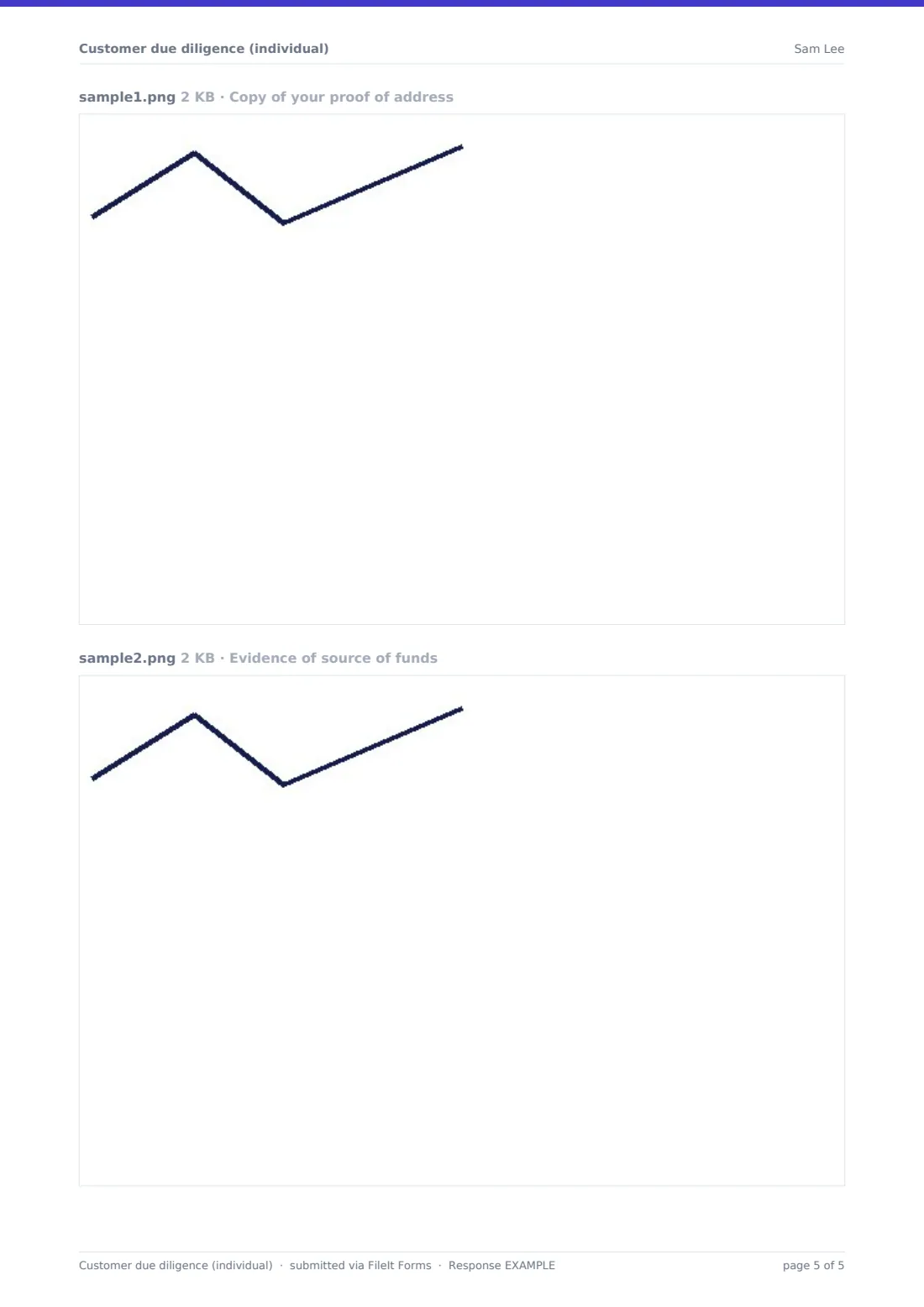 Customer due diligence (individual) — example response PDF, page 5 of 5