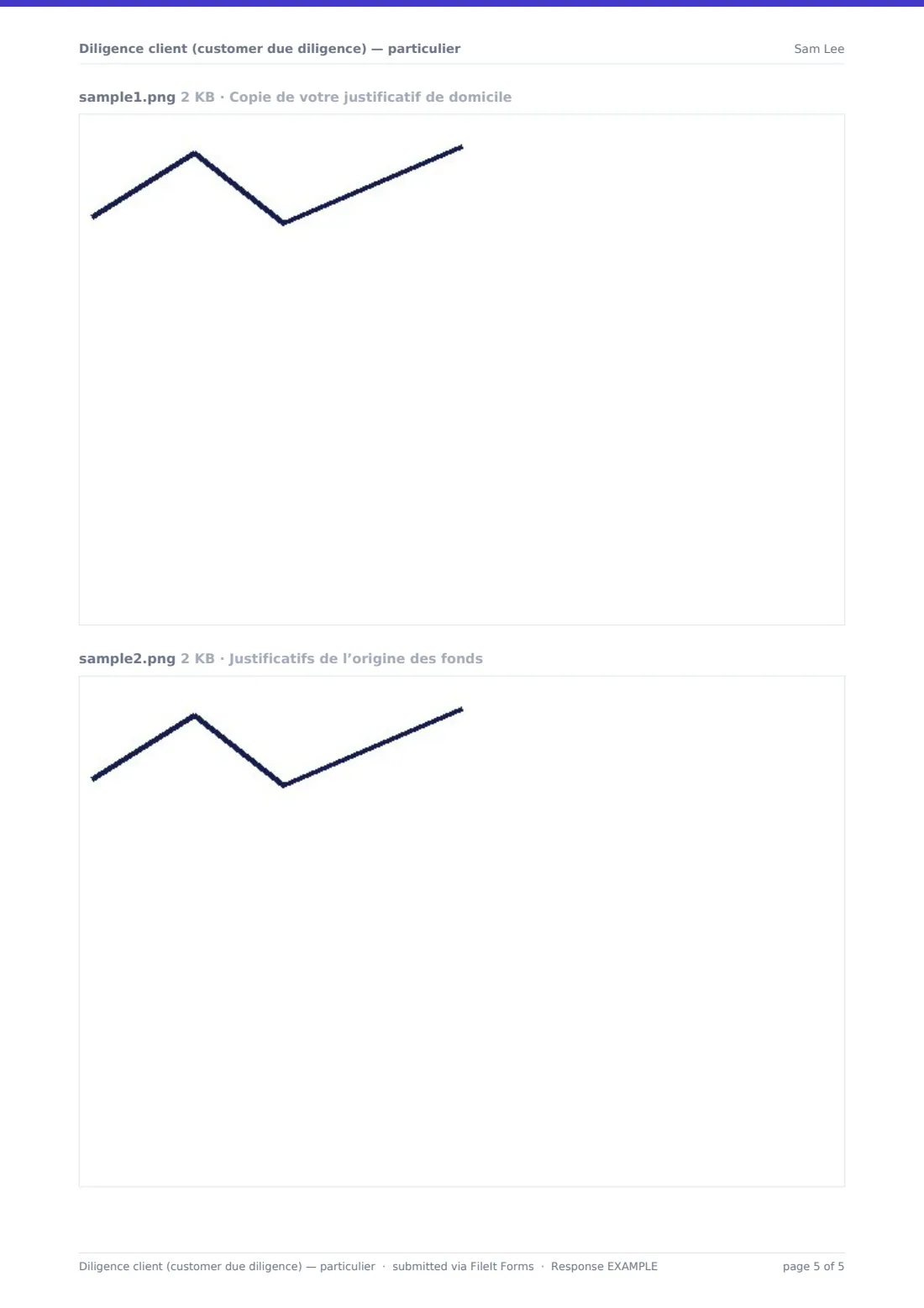 Diligence client (customer due diligence) — particulier — exemple de réponse au format PDF, page 5 sur 5