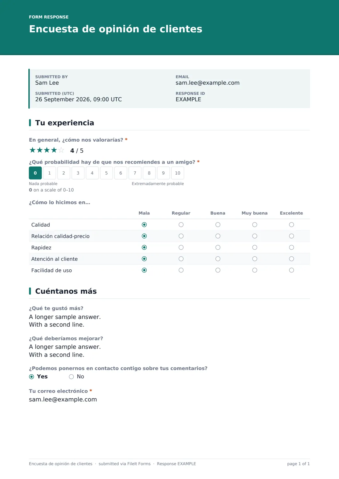 Encuesta de opinión de clientes — PDF de respuesta de ejemplo, página 1 de 1