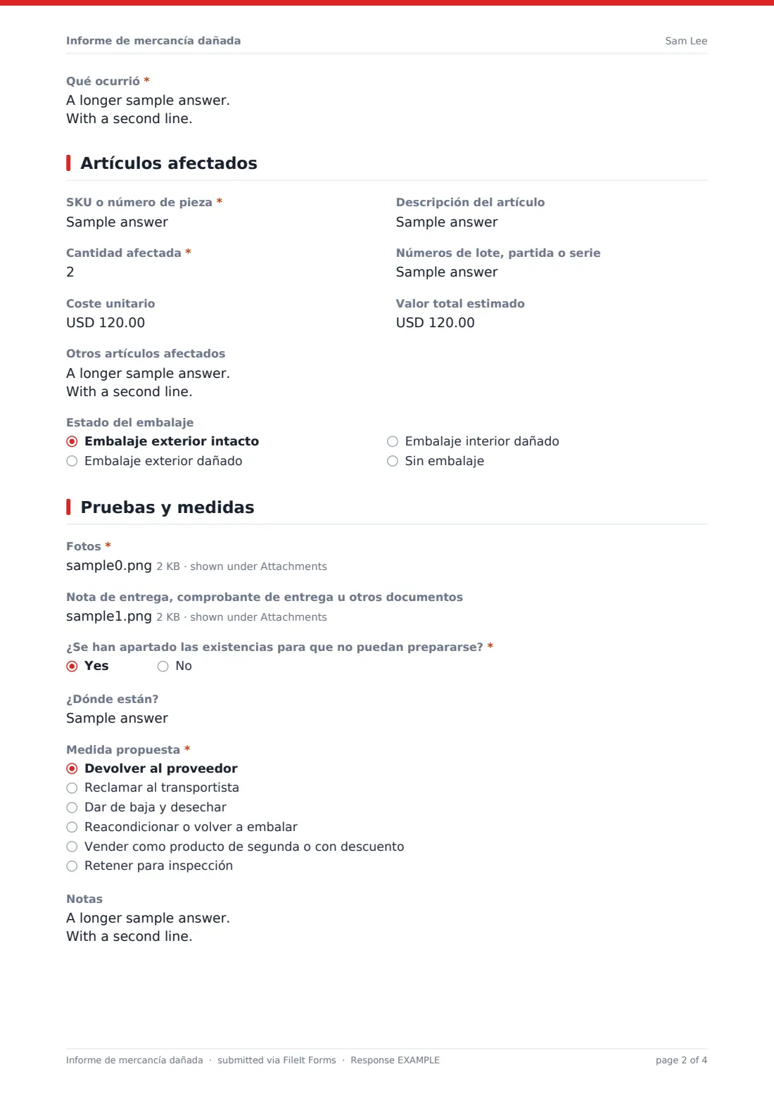 Informe de mercancía dañada — PDF de respuesta de ejemplo, página 2 de 4