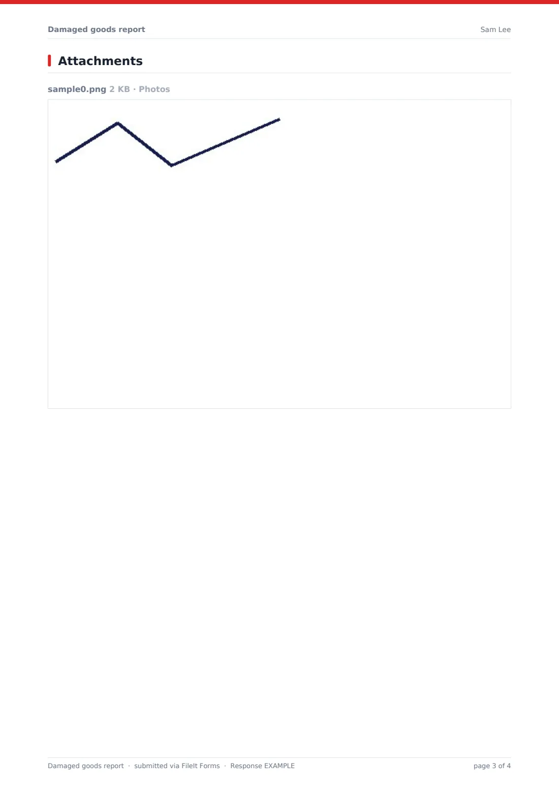 Damaged goods report — example response PDF, page 3 of 4