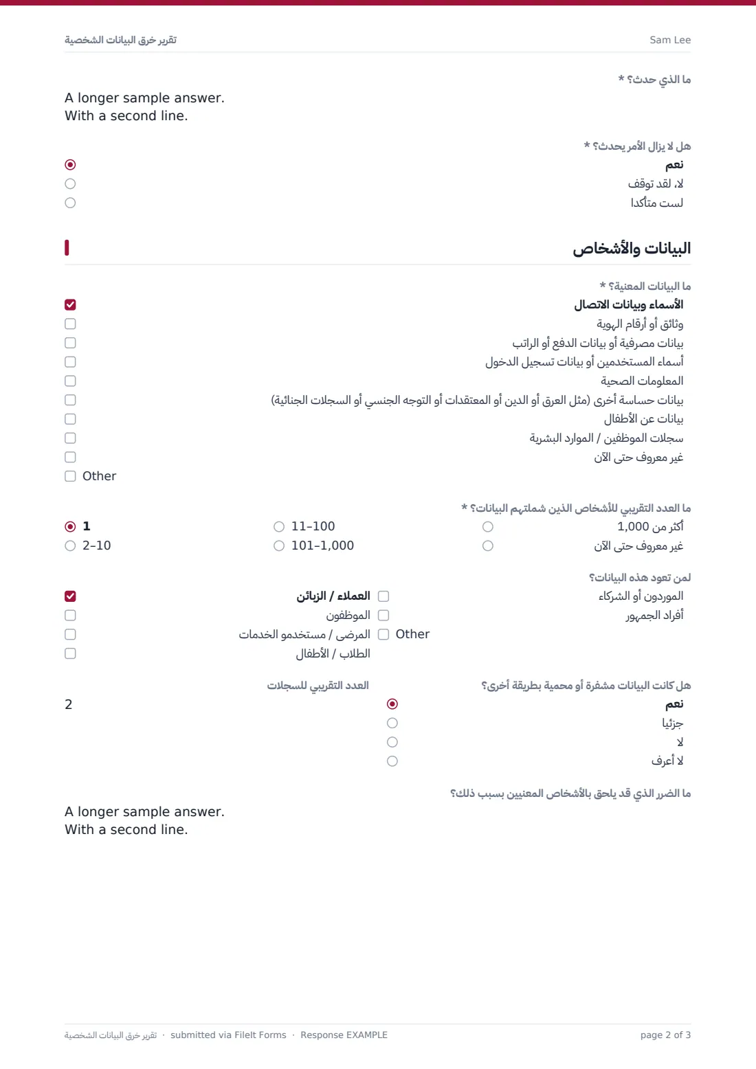 تقرير خرق البيانات الشخصية — ملف PDF لرد نموذجي، الصفحة 2 من 3