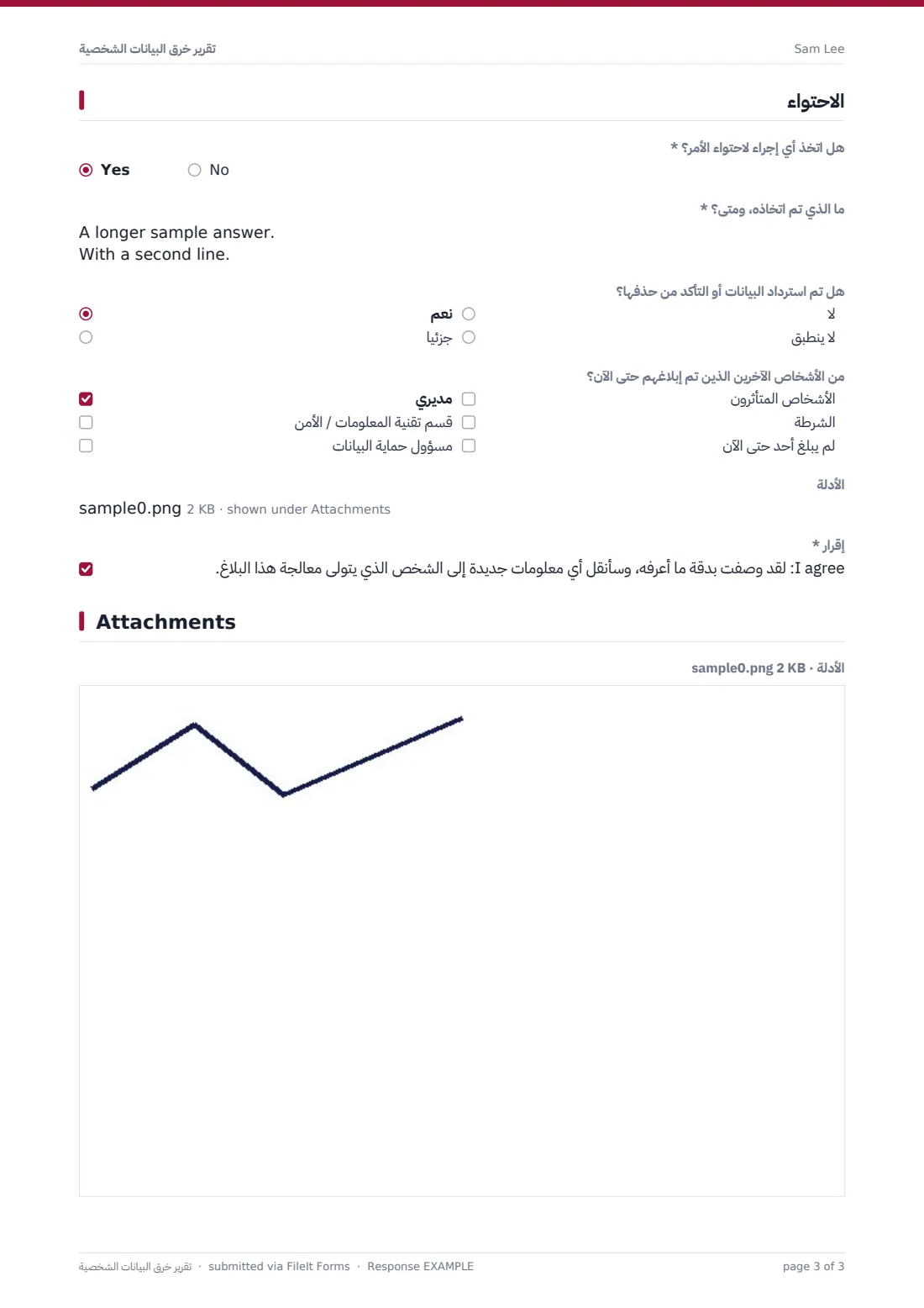 تقرير خرق البيانات الشخصية — ملف PDF لرد نموذجي، الصفحة 3 من 3