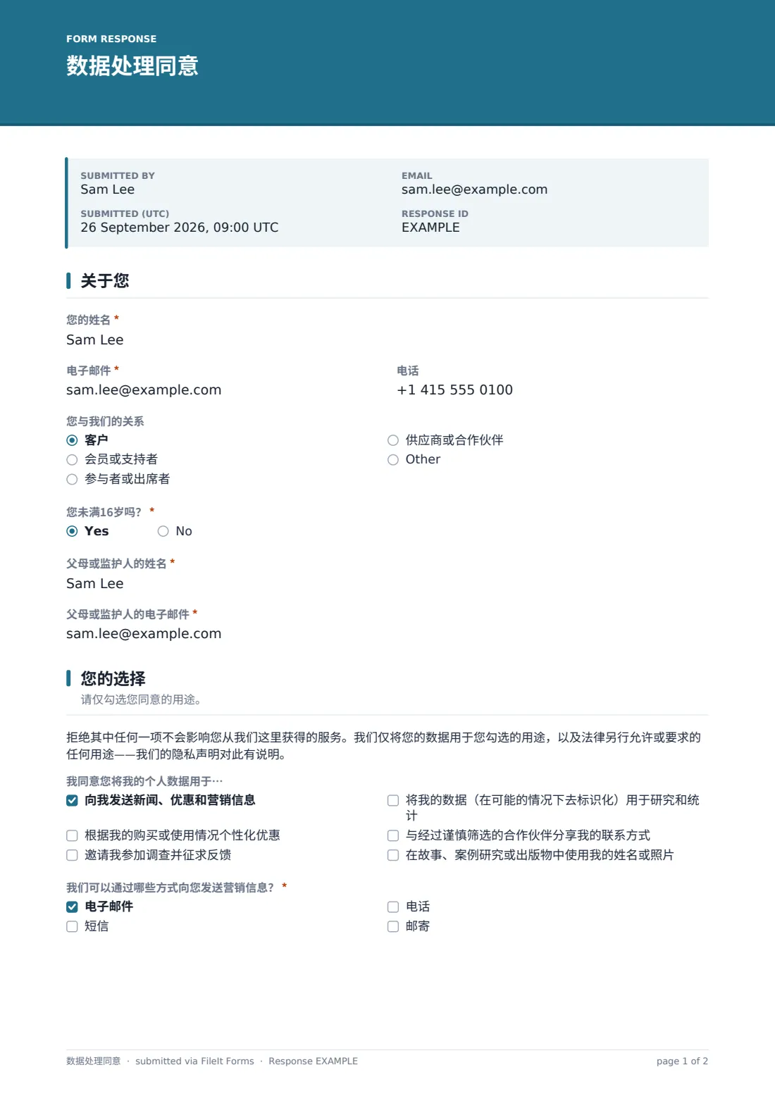数据处理同意 — 示例回复 PDF，第 1 页，共 2 页