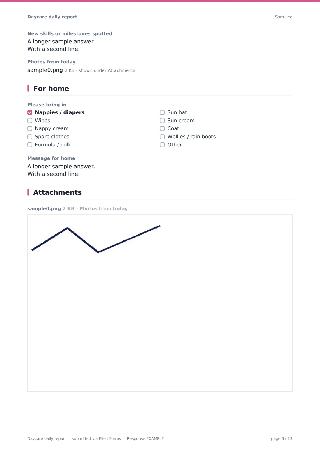 Daycare daily report — example response PDF, page 3 of 3