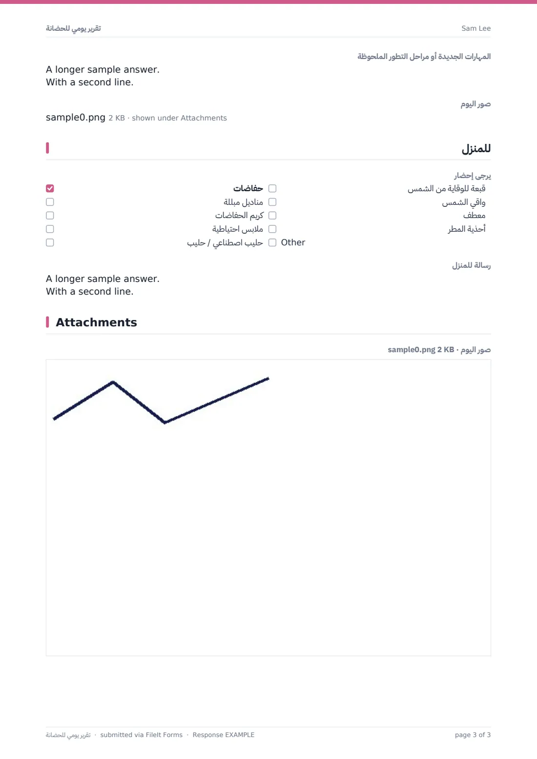 تقرير يومي للحضانة — ملف PDF لرد نموذجي، الصفحة 3 من 3