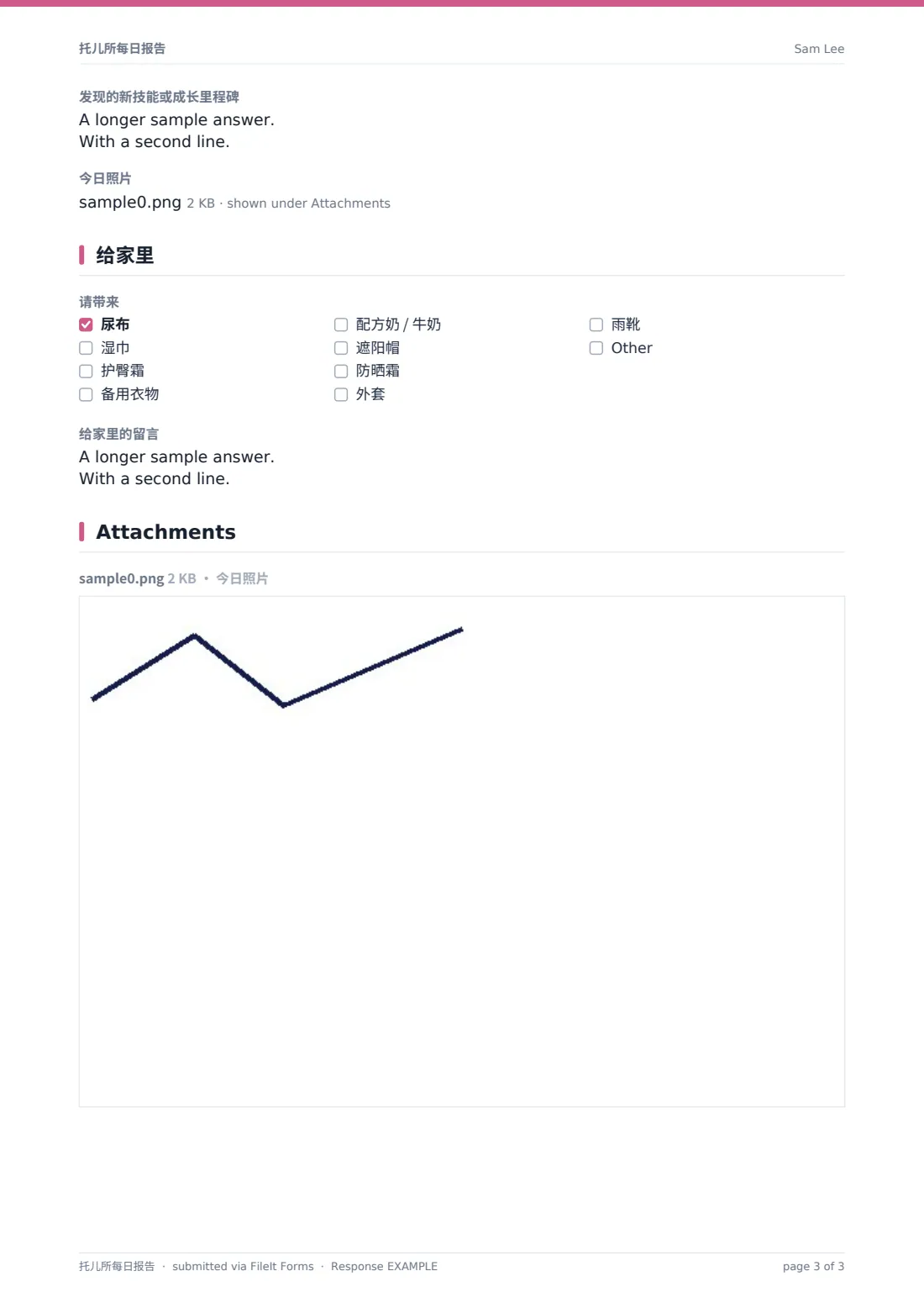 托儿所每日报告 — 示例回复 PDF，第 3 页，共 3 页