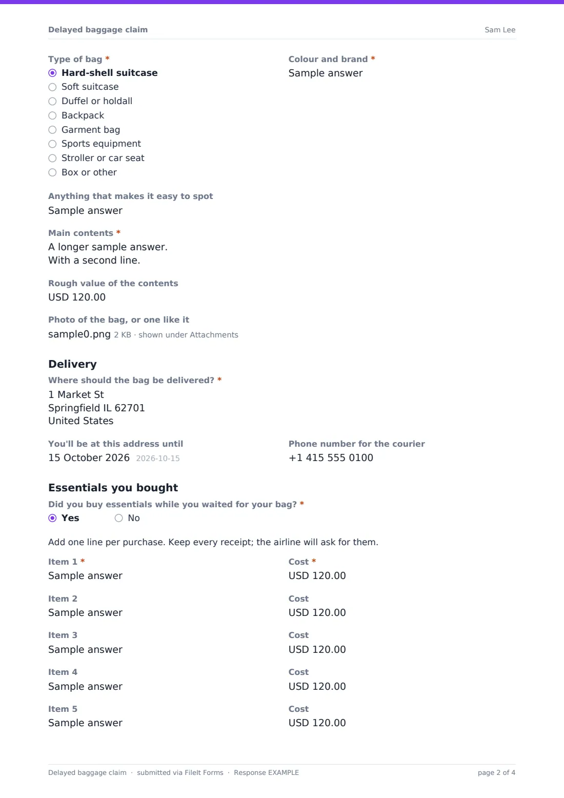 Delayed baggage claim — example response PDF, page 2 of 4