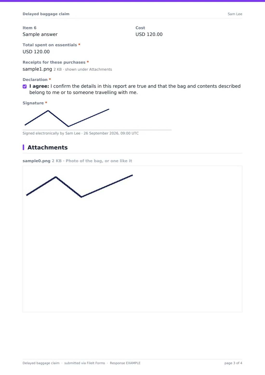 Delayed baggage claim — example response PDF, page 3 of 4