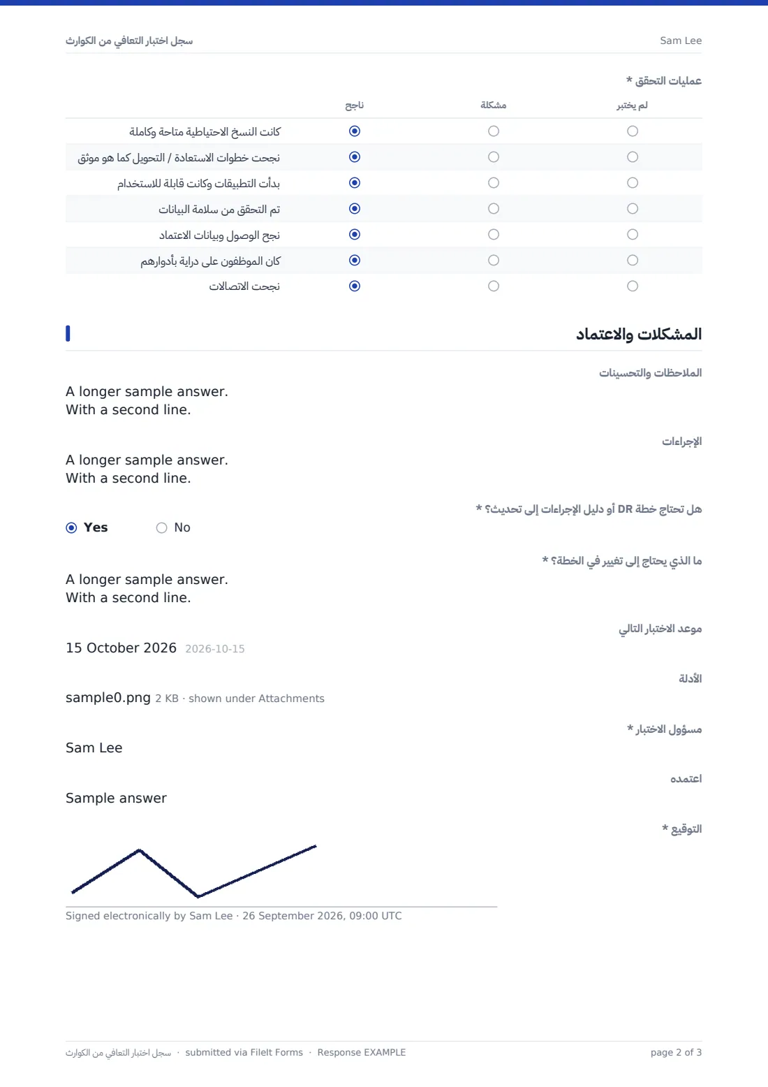 سجل اختبار التعافي من الكوارث — ملف PDF لرد نموذجي، الصفحة 2 من 3