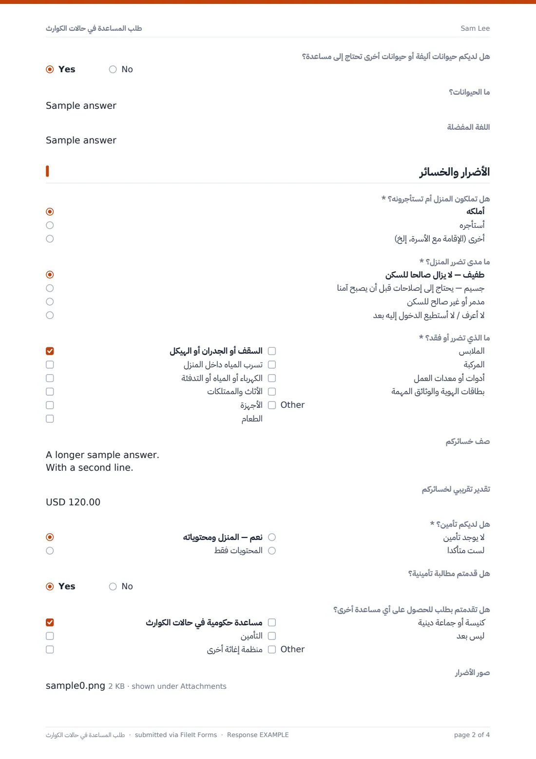 طلب المساعدة في حالات الكوارث — ملف PDF لرد نموذجي، الصفحة 2 من 4