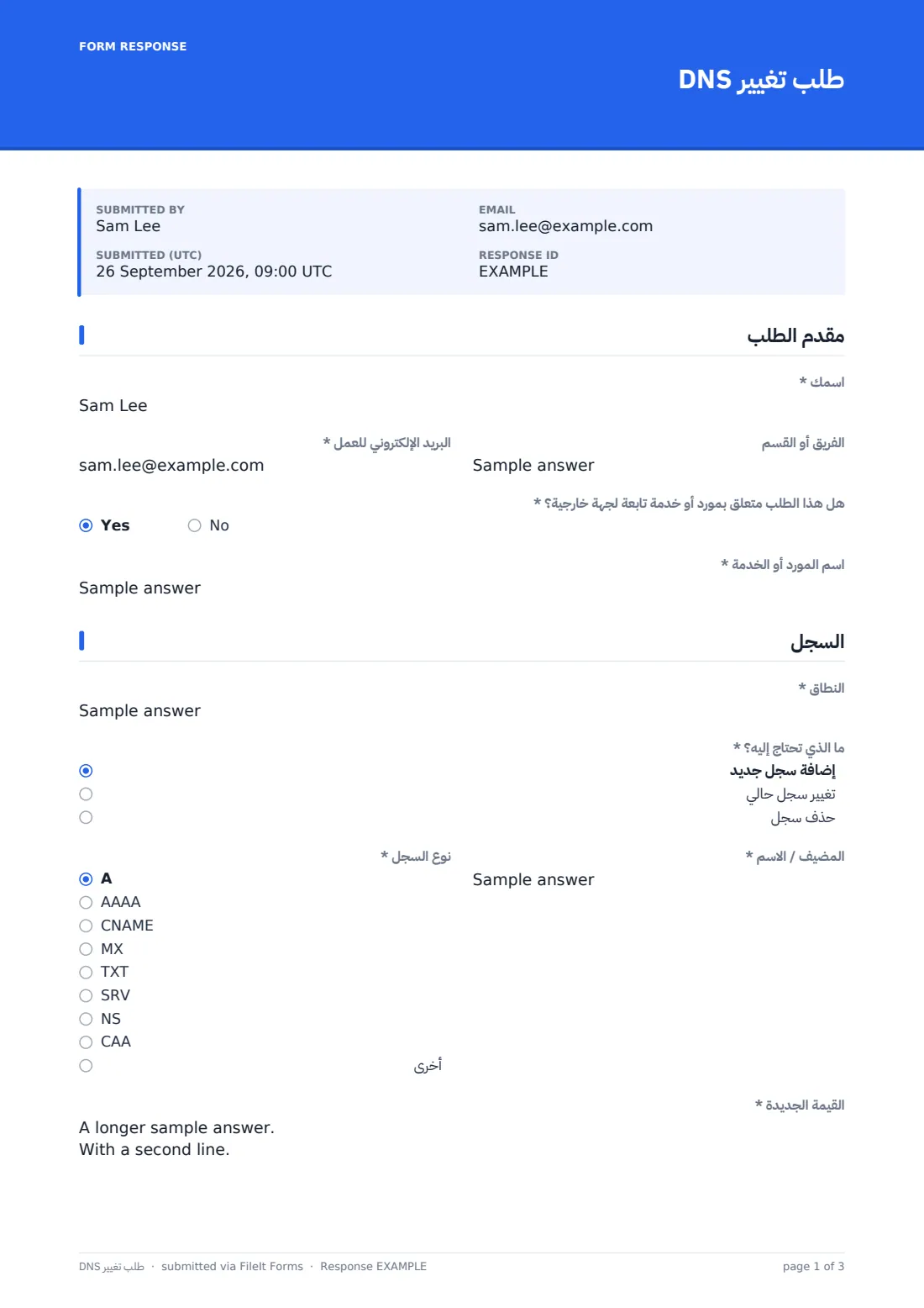 طلب تغيير DNS — ملف PDF لرد نموذجي، الصفحة 1 من 3