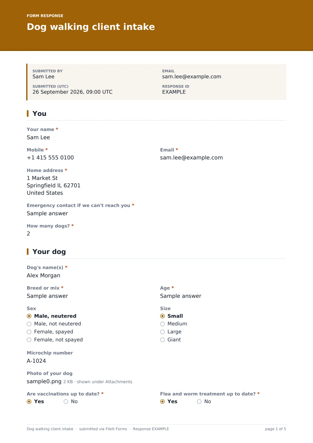 Dog walking client intake — example response PDF, page 1 of 5