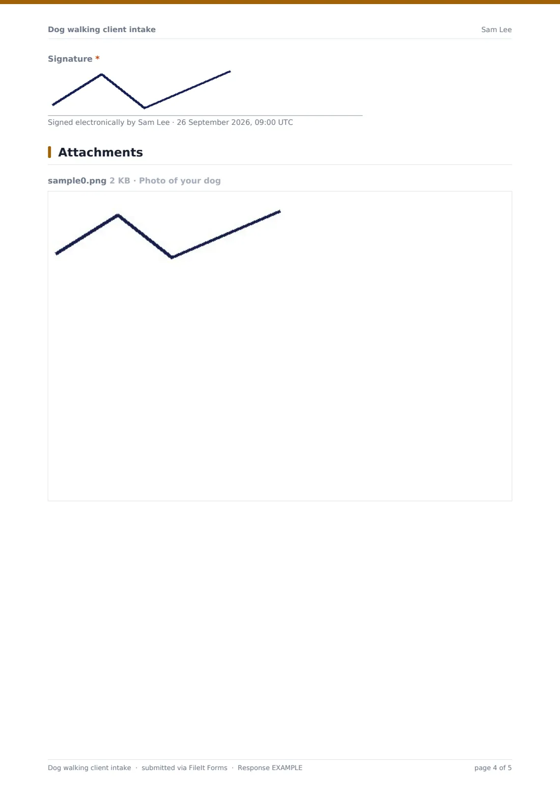 Dog walking client intake — example response PDF, page 4 of 5