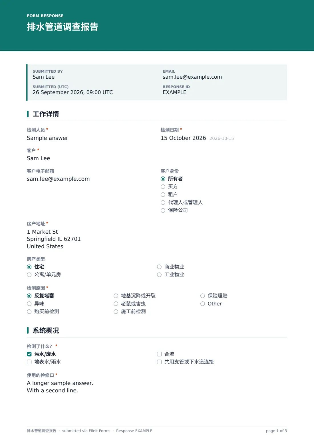 排水管道调查报告 — 示例回复 PDF，第 1 页，共 3 页