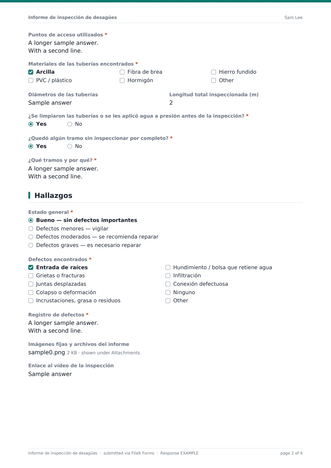 Informe de inspección de desagües — PDF de respuesta de ejemplo, página 2 de 4