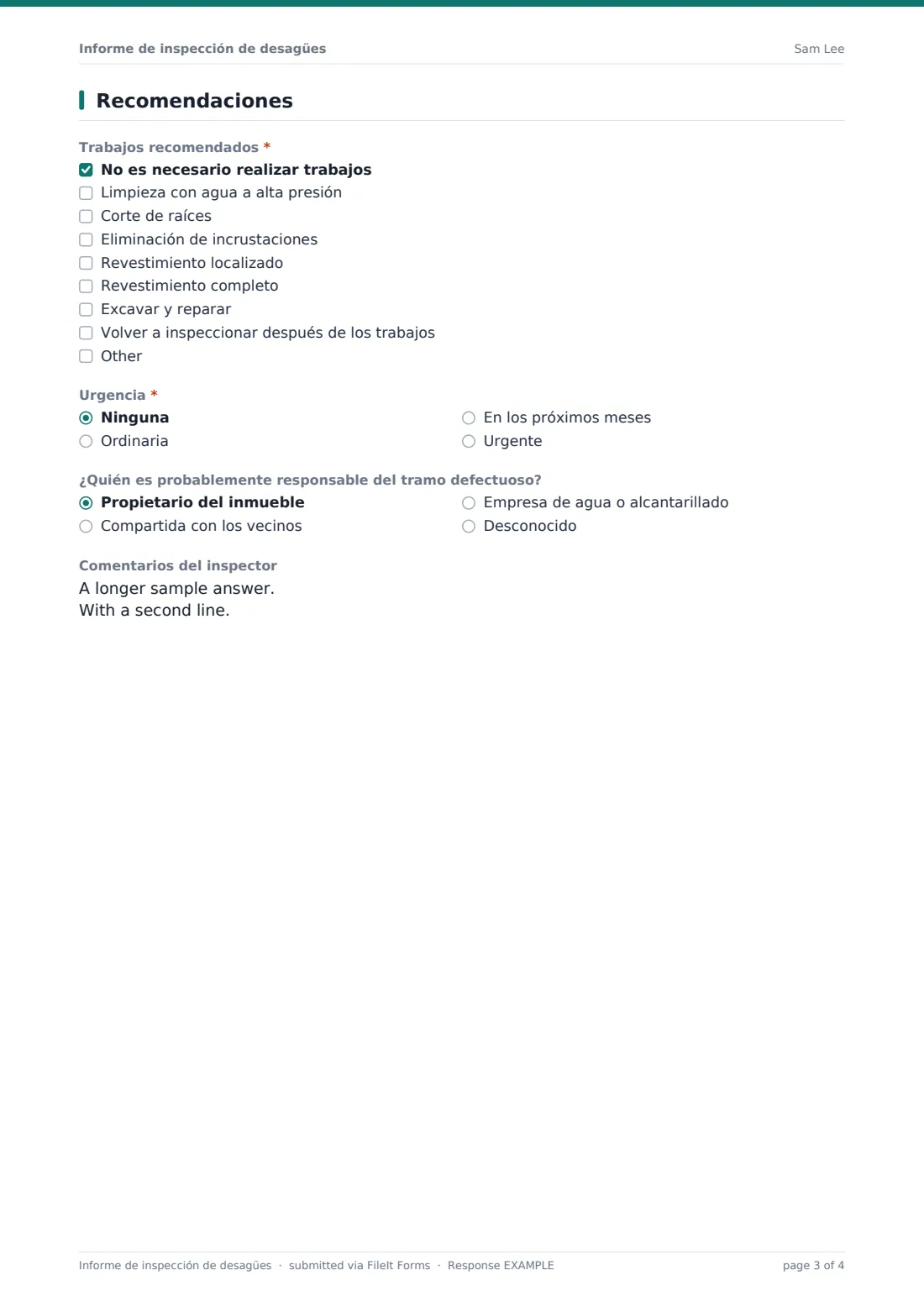 Informe de inspección de desagües — PDF de respuesta de ejemplo, página 3 de 4