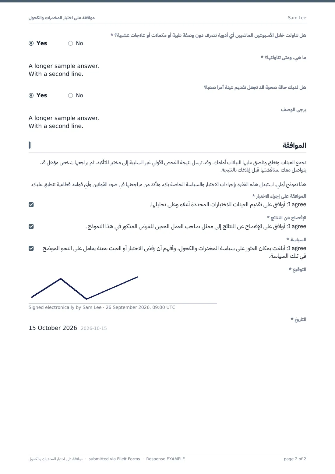 موافقة على اختبار المخدرات والكحول — ملف PDF لرد نموذجي، الصفحة 2 من 2