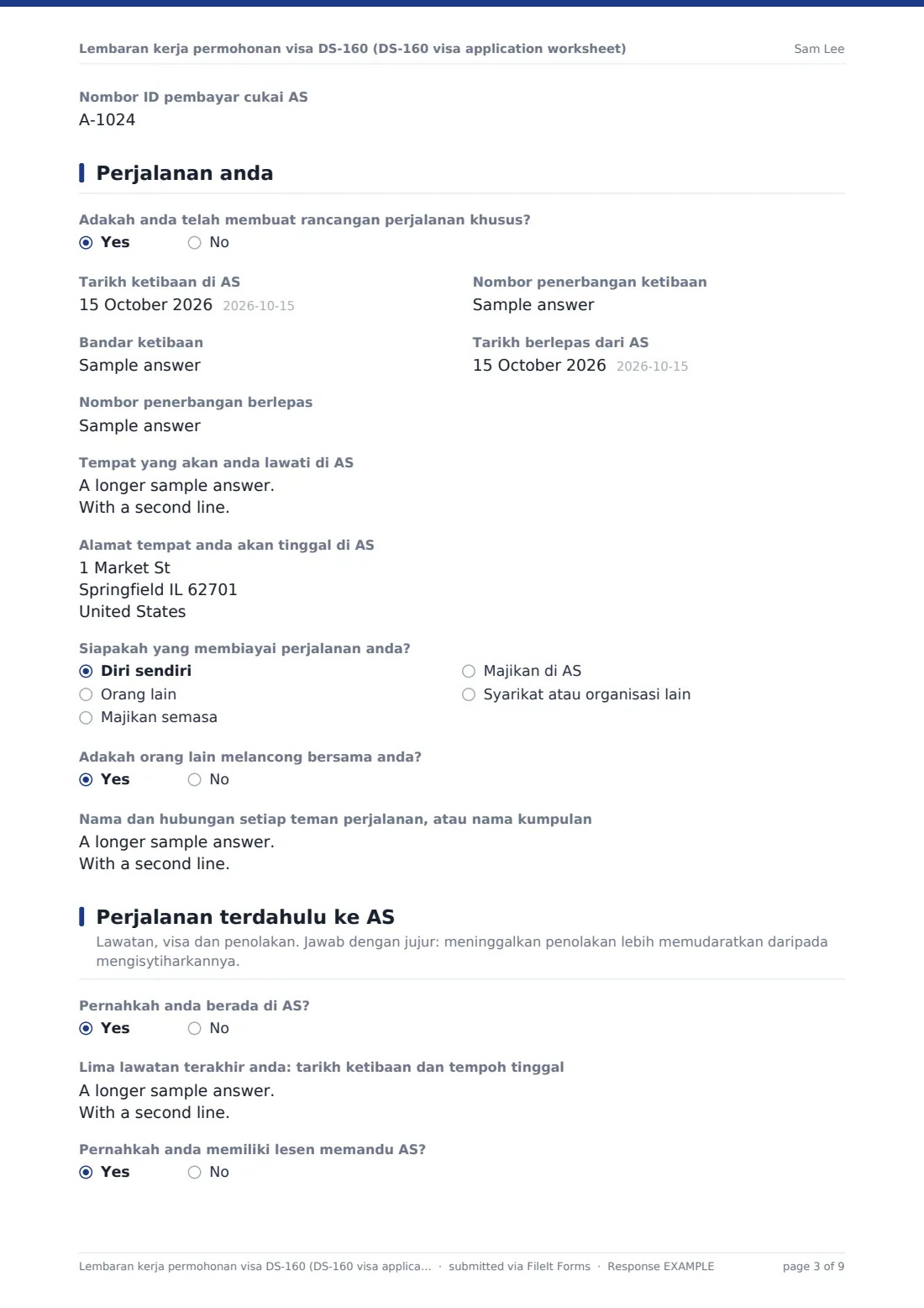 Lembaran kerja permohonan visa DS-160 (DS-160 visa application worksheet) — PDF respons contoh, halaman 3 daripada 9