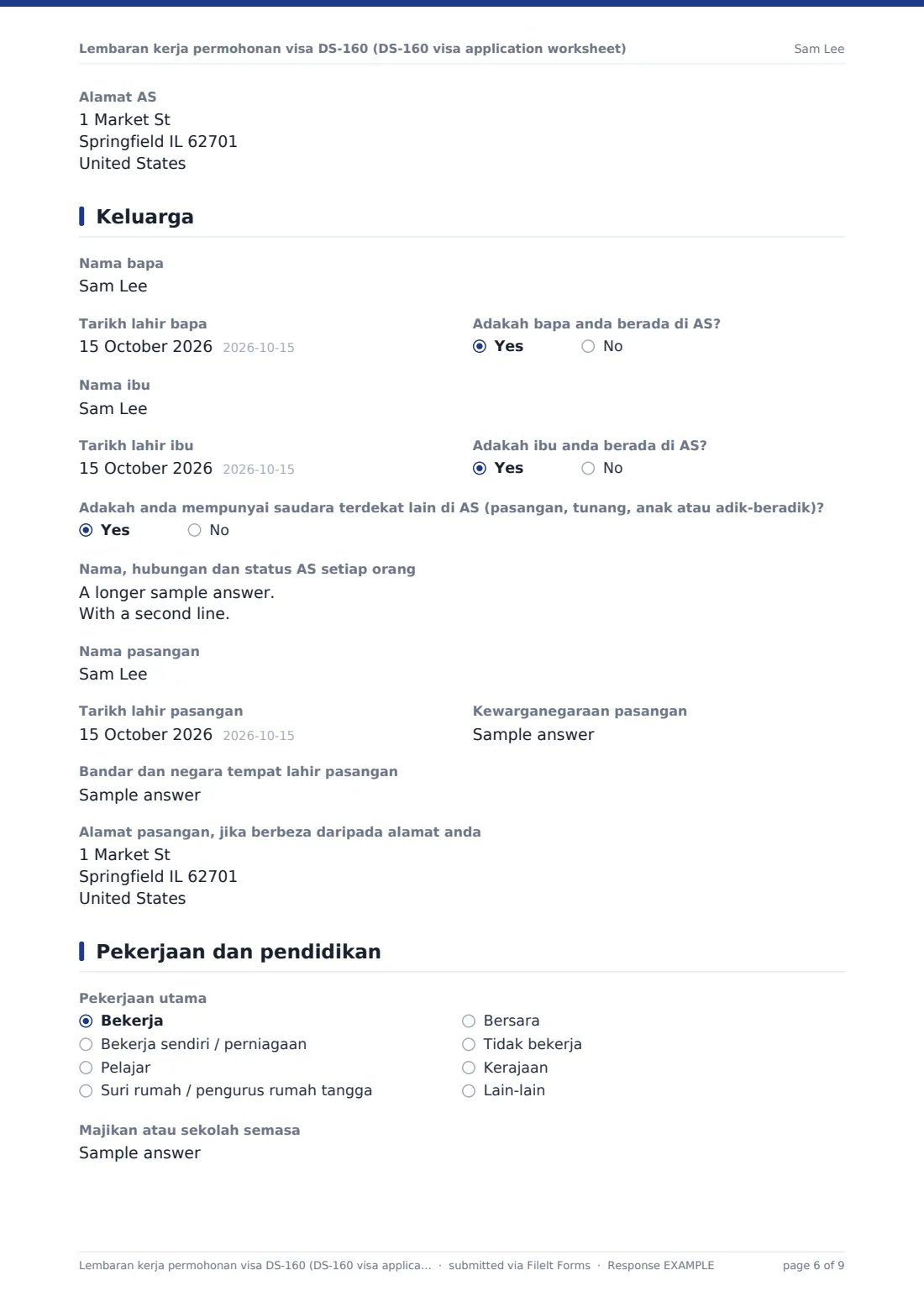Lembaran kerja permohonan visa DS-160 (DS-160 visa application worksheet) — PDF respons contoh, halaman 6 daripada 9