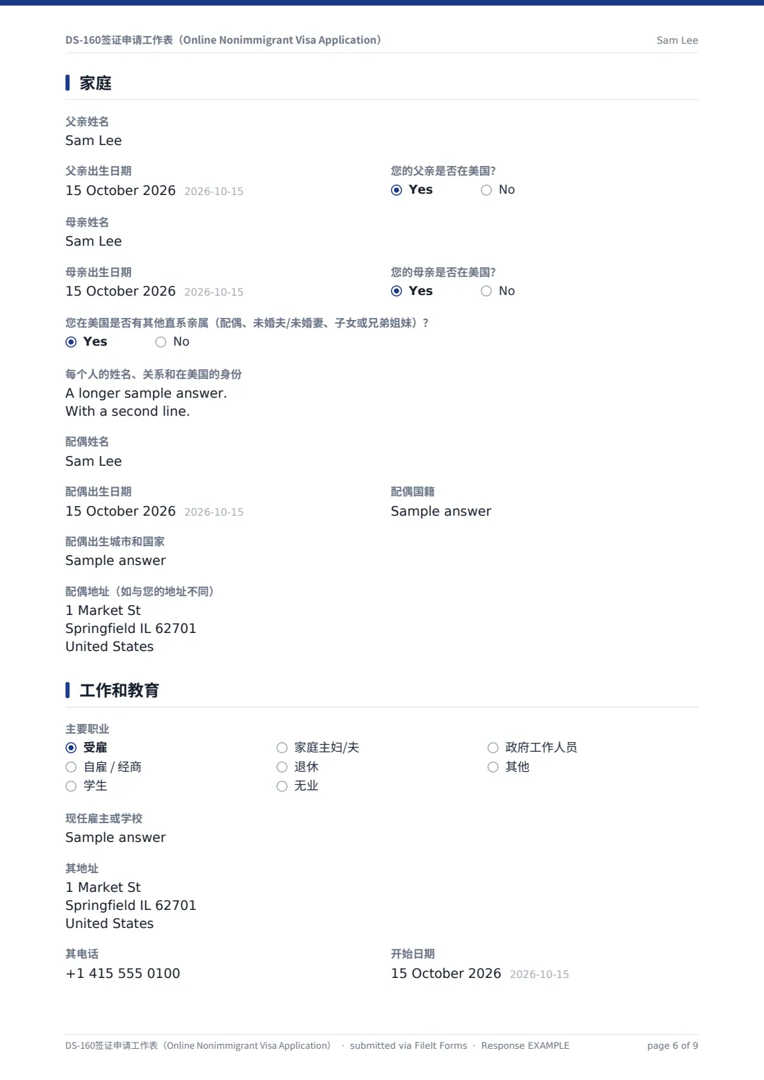 DS-160签证申请工作表（Online Nonimmigrant Visa Application） — 示例回复 PDF，第 6 页，共 9 页