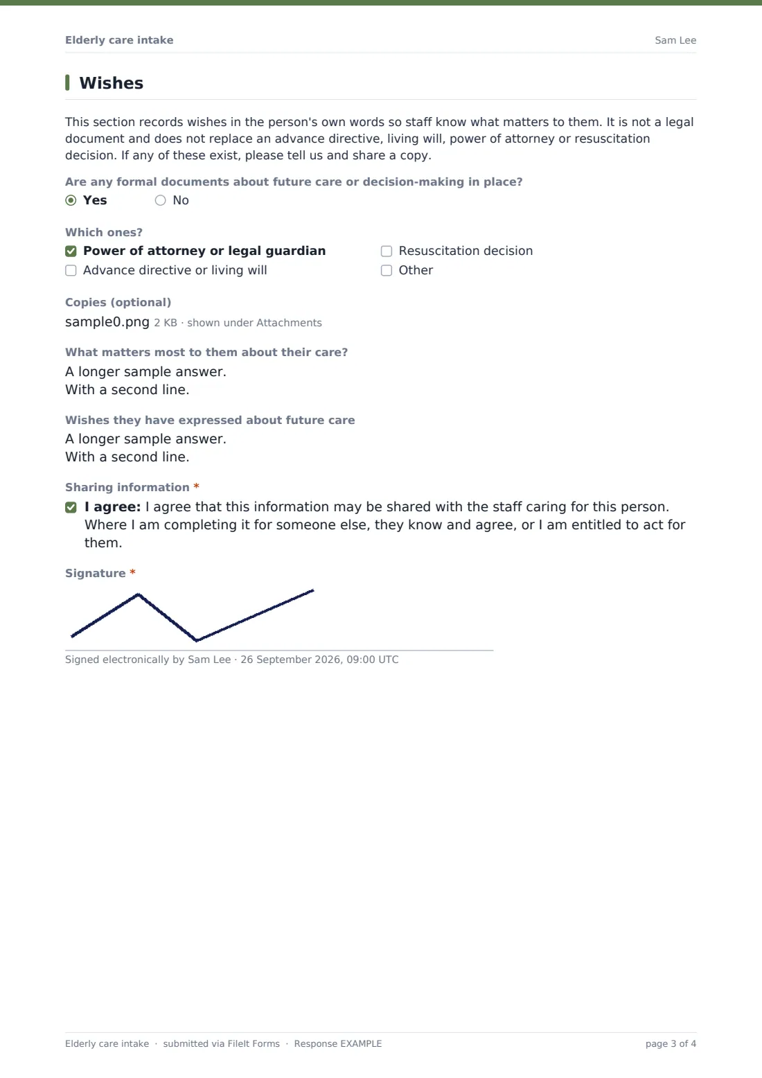 Elderly care intake — example response PDF, page 3 of 4