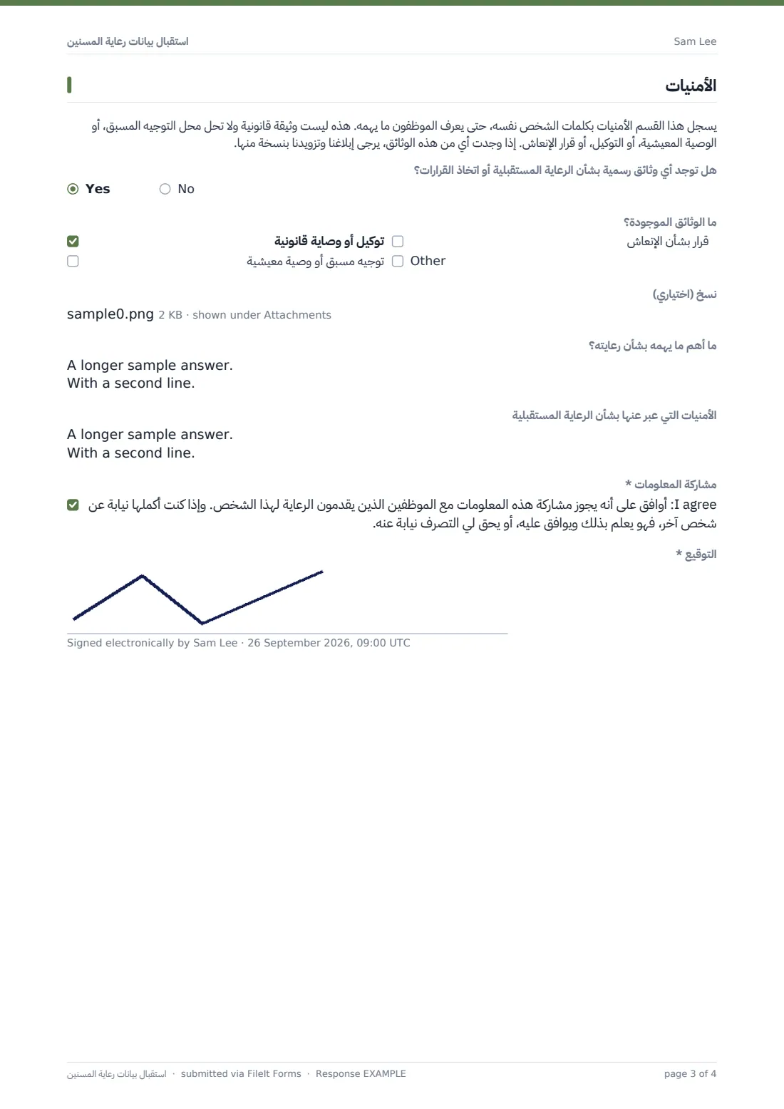استقبال بيانات رعاية المسنين — ملف PDF لرد نموذجي، الصفحة 3 من 4