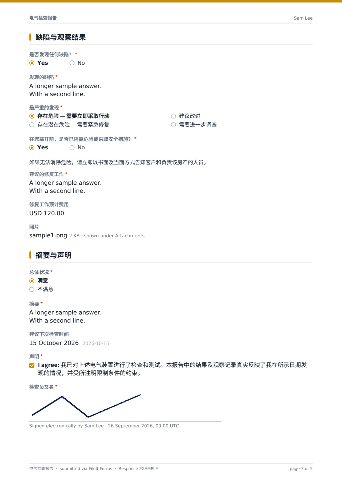 电气检查报告 — 示例回复 PDF，第 3 页，共 5 页