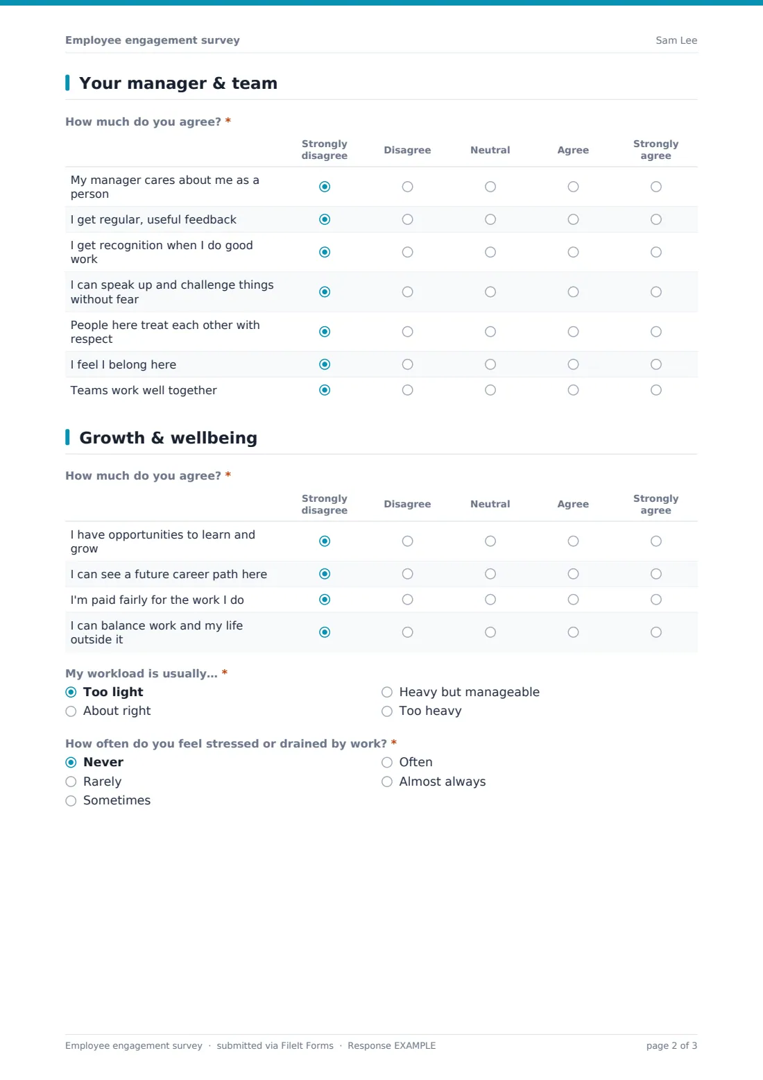 Employee engagement survey — example response PDF, page 2 of 3