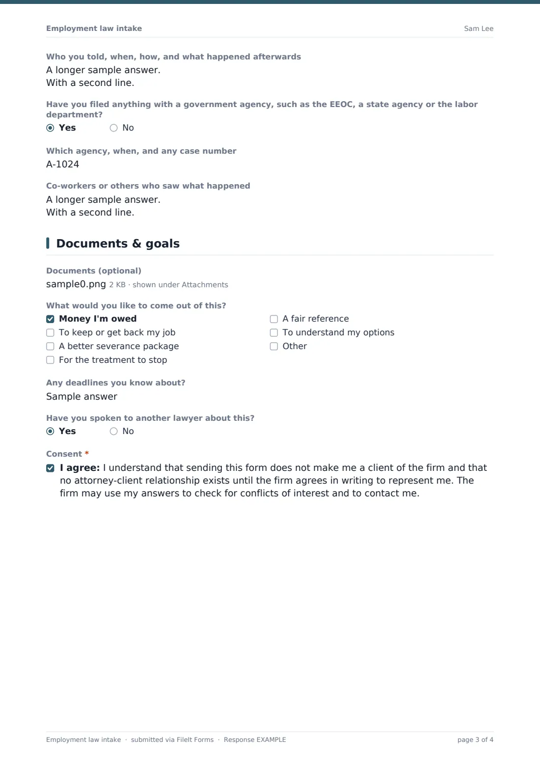 Employment law intake — example response PDF, page 3 of 4
