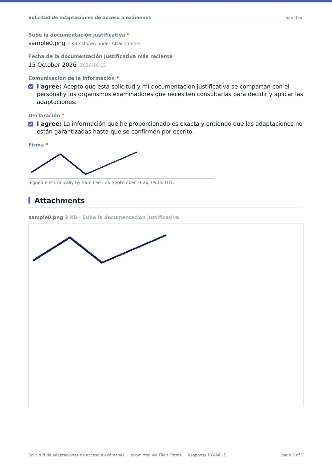 Solicitud de adaptaciones de acceso a exámenes — PDF de respuesta de ejemplo, página 3 de 3