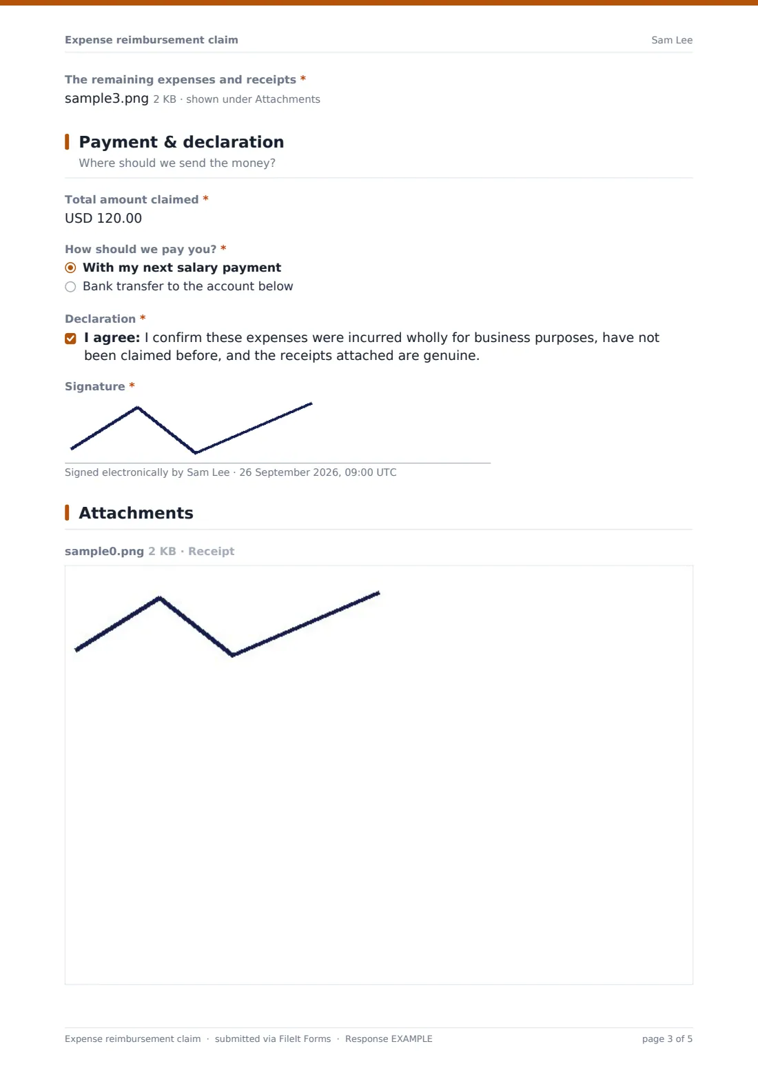 Expense reimbursement claim — example response PDF, page 3 of 5