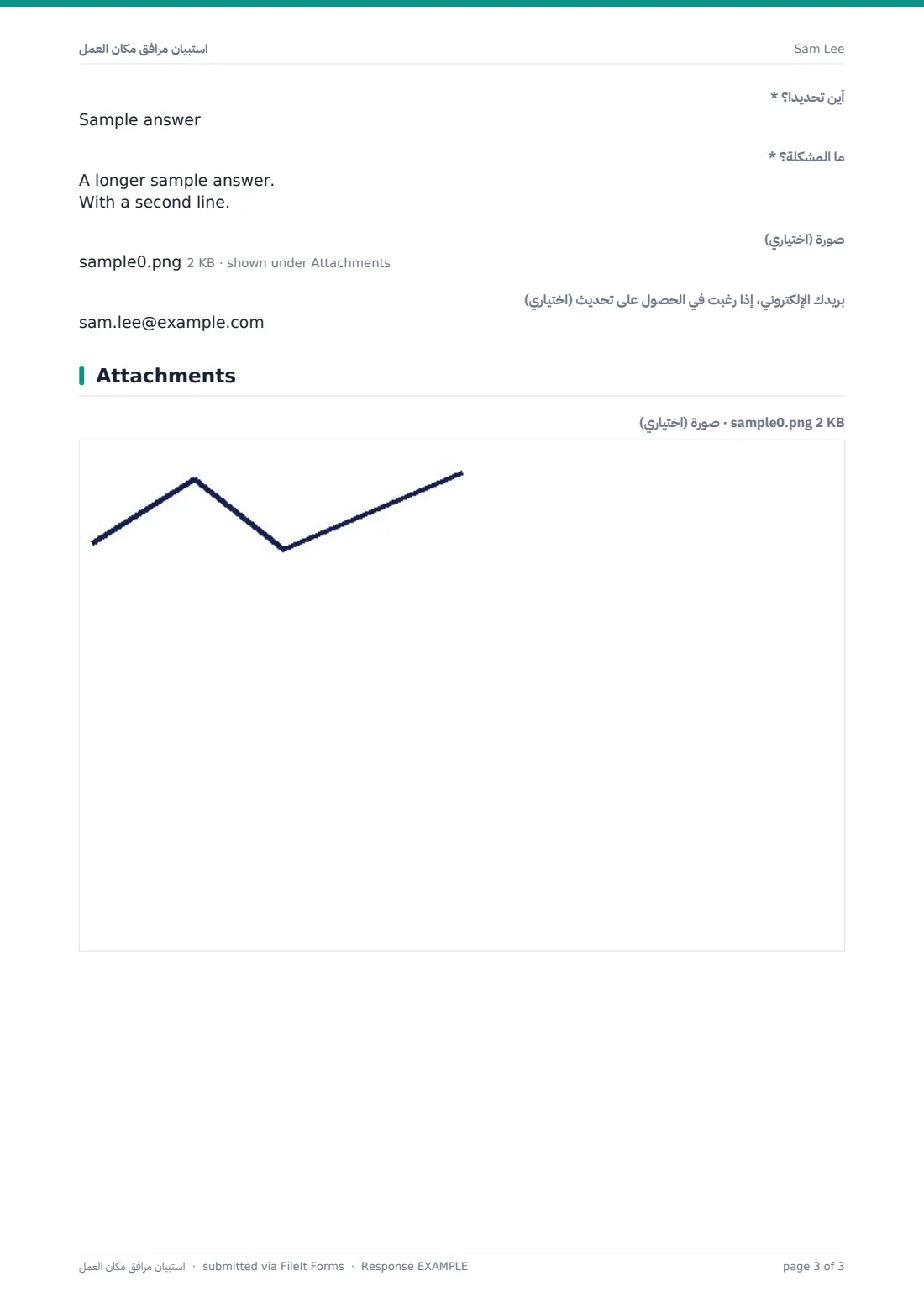 استبيان مرافق مكان العمل — ملف PDF لرد نموذجي، الصفحة 3 من 3