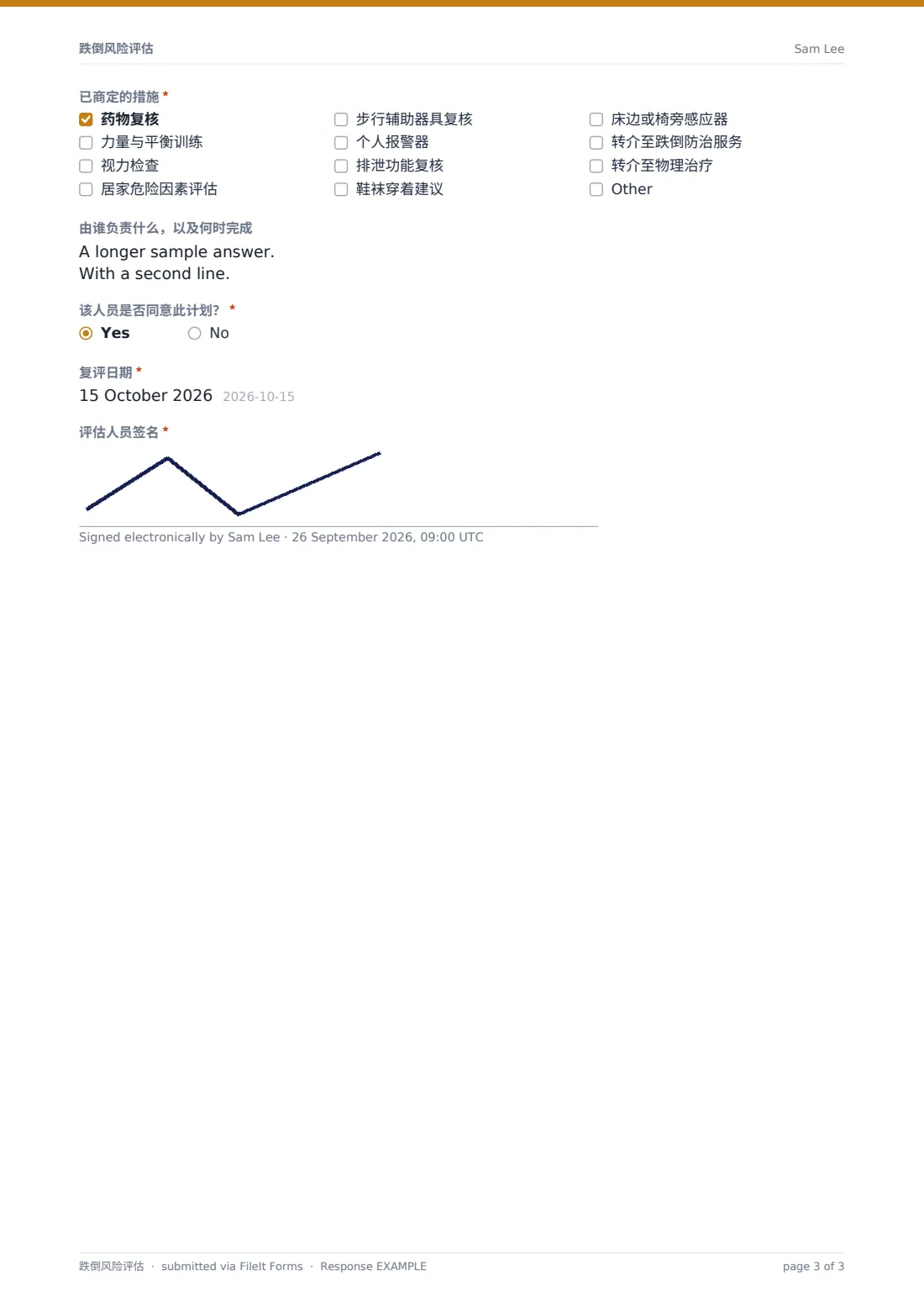 跌倒风险评估 — 示例回复 PDF，第 3 页，共 3 页