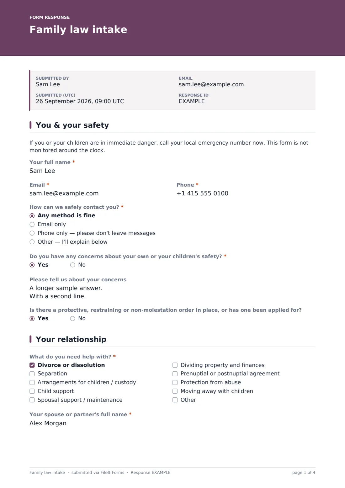 Family law intake — example response PDF, page 1 of 4