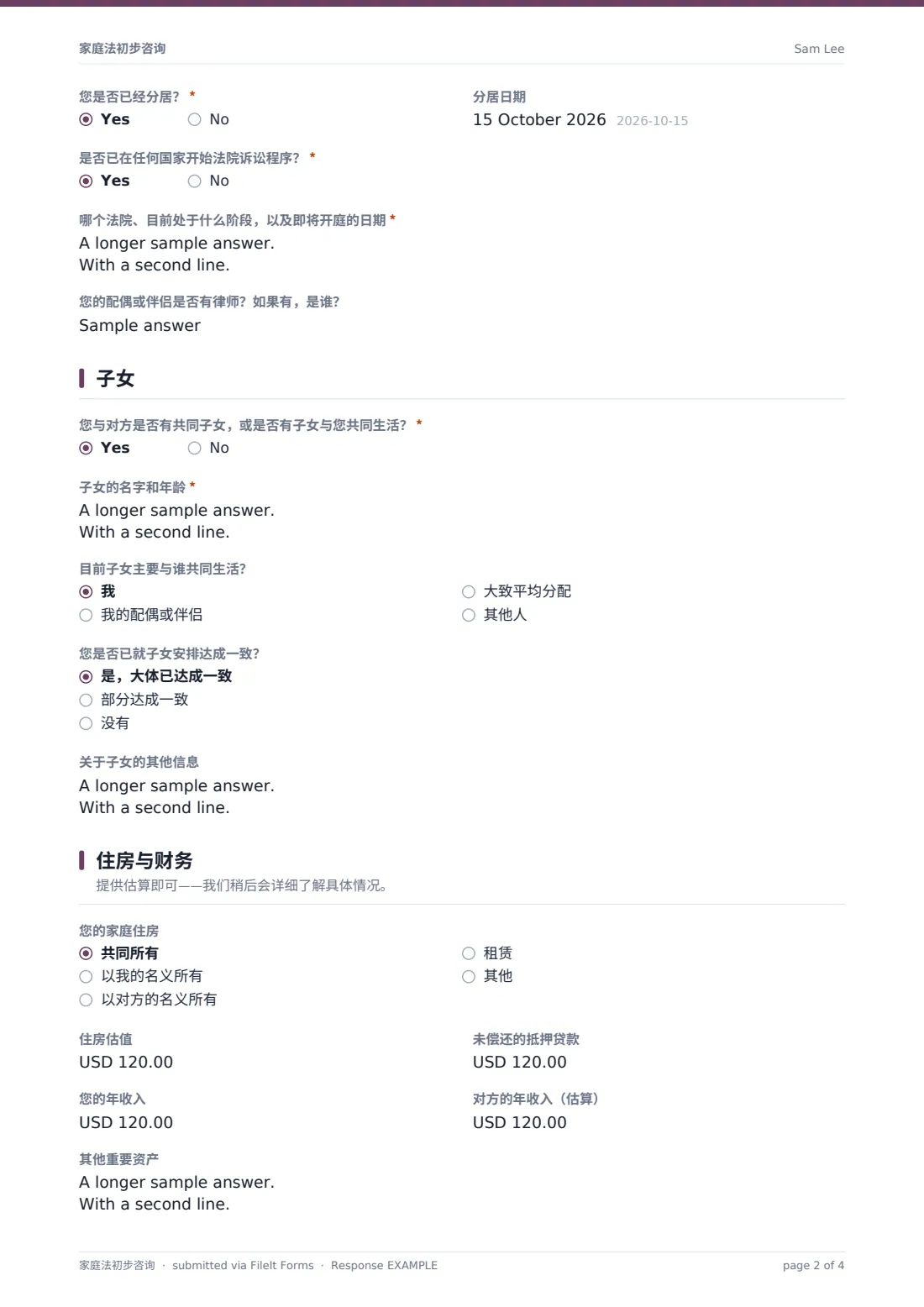 家庭法初步咨询 — 示例回复 PDF，第 2 页，共 4 页