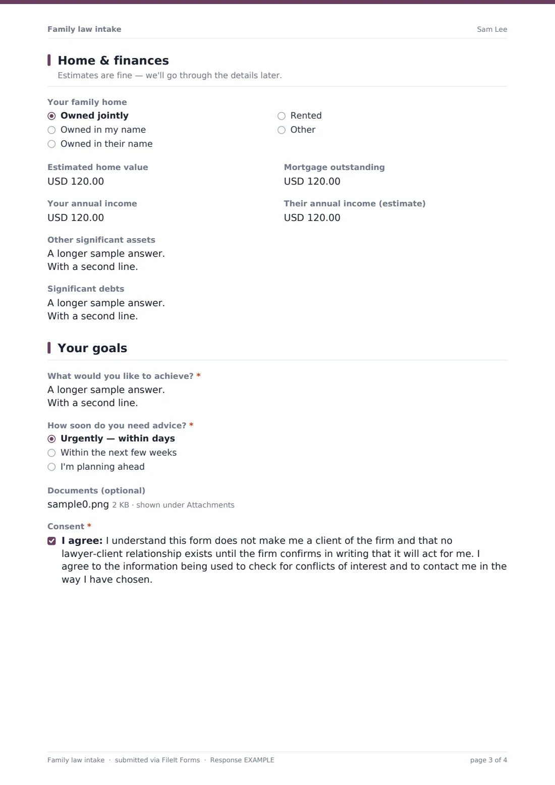Family law intake — example response PDF, page 3 of 4