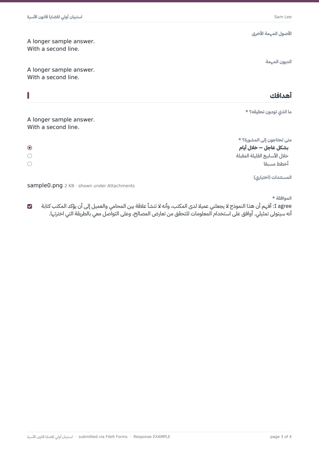 استبيان أولي لقضايا قانون الأسرة — ملف PDF لرد نموذجي، الصفحة 3 من 4