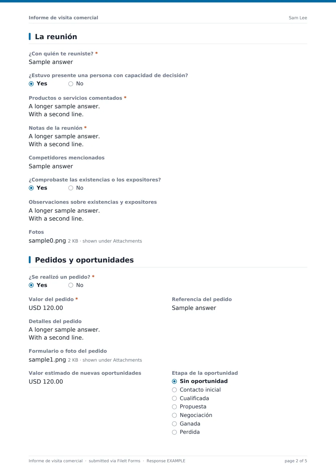 Informe de visita comercial — PDF de respuesta de ejemplo, página 2 de 5