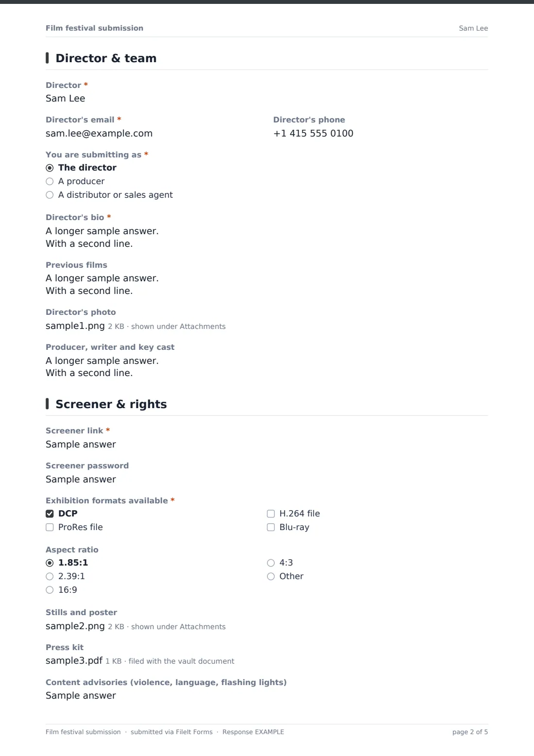 Film festival submission — example response PDF, page 2 of 5
